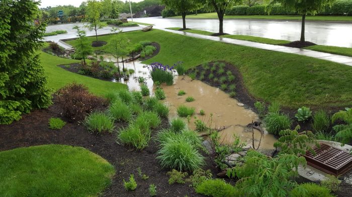 How Olin Landscape Designs Integrate Sustainability